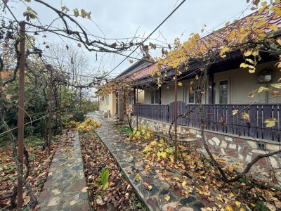 Casa cu livada Izvorani la 300m de Lacul Snagov asfalt si utilitati