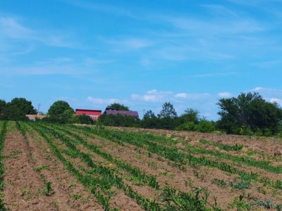 MEGA OCAZIE SE VINDE TEREN 10.600 DE METRI LA PRET DE 6.600 CU DESCHIDRE LA LAC