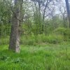 SUPER  OCAZIE TEREN 4000MP DE VANZARE IN SNAGOV CU DESCHIDERE LA LACUL SNAGOV thumb 16