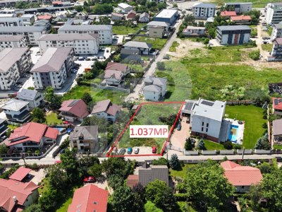 CHIAJNA-ROSU LOT 1037 MP