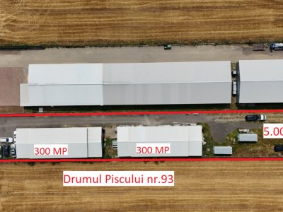 CIOLPANI Lot 5.000 MP