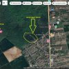 Padure 28.000mp - Saftica - 2e/mp - INVESTITIE - cel mai MIC pret thumb 3