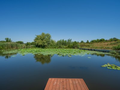 Izvorani- Delta Snagov, T-560mp, Tiny House 40mp, Loc ponton, Comison 0 %