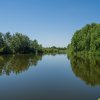 Izvorani- Delta Snagov, T-560mp, Tiny House 40mp, Loc ponton, Comison 0 % thumb 6
