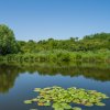 Izvorani- Delta Snagov, T-560mp, Tiny House 40mp, Loc ponton, Comison 0 % thumb 7