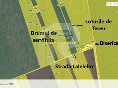 Domnesti teren intravilan