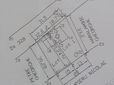 MOARA VLASIEI, LOT 425 MP!