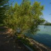 Barbu Vacarescu, Laguna Residence, Vedere Lac, Parcare, Comision 0 % thumb 5
