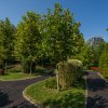 Barbu Vacarescu, Laguna Residence, Vedere Lac, Parcare, Comision 0 % thumb 27