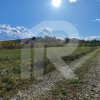 Refugiu la marginea padurii — 1000 mp de liniste in Cocani. thumb 9