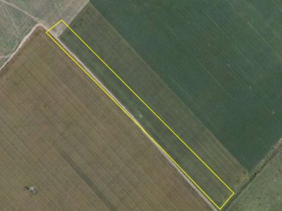 Teren de vânzare – 25.000 mp, Pantelimon, între cele două centuri ale Capitalei 