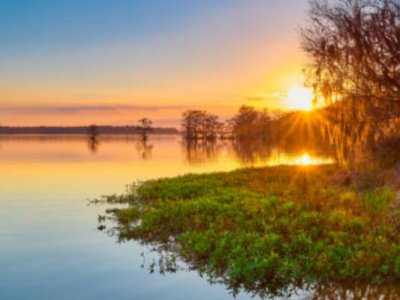 SISESTI teren.  5000mp iesire la LAC