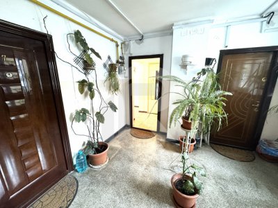 de inchiriat apartament 2 camere, Nord, Judetean, Cameliei