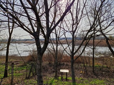 Teren - Roman  -Trifesti - ieșire la lac - livada pe rod