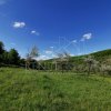Teren de Vânzare, Budeasa Mica – Potrivit pentru Casă de Vacanță sau Investiție thumb 9