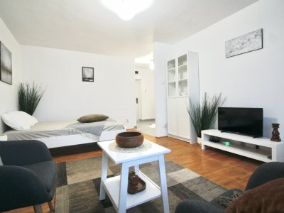 TEUL DOAMNEI-BERECHET, RENOVATA TOTAL, MOBILATA  MODERN, 0% COMISION!