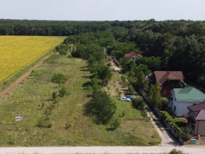 Teren intravilan cu PUZ aprobat Snagov (Ciofliceni) padure
