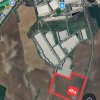 Terenuri Ciorogarla - 500mp -> 7.500mp -> 4 Ha thumb 12