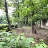 GARSONIERĂ LUMINOASĂ I INIMA TINERETULUI I BL. 1982 I COMISION 0% ! 33MP I thumb 9