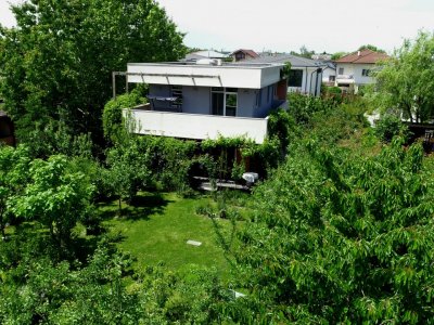 Refugiu Verde în Corbeanca – Vilă Premium cu Grădină Matură