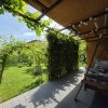 Refugiu Verde în Corbeanca – Vilă Premium cu Grădină Matură thumb 24