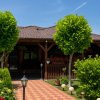 Casă solidă, complet renovată, cu terasă generoasă – Bolintin Vale thumb 13