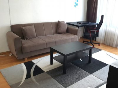 Închiriere 2 camere Campia Libertatii Muncii DECOMANDAT