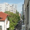 Cuibul din centru thumb 15
