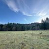 Vanzare 6850 mp pasune langa Manastirea Doroteia - Frasin /Plutonita imaginea mica 5 Vanzare 6850 mp pasune langa Manastirea Doroteia - Frasin /Plutonita thumb 5