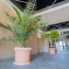 OFERTA SPECIALA!!!  Mamaia Nord - Vânzare apartament 2 camere. thumb 10