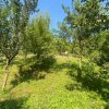 Proprietate deosebita cu vedere panoramica la 10 km de Mioveni. Comision 0% thumb 32