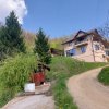 Casa imbratisata de padure - Valea Ursului, Bascov thumb 14