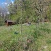 Casa imbratisata de padure - Valea Ursului, Bascov thumb 16