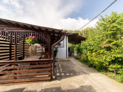 Două case la marginea pădurii – Proprietate de vânzare în Bascov!
