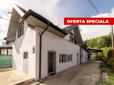 Două case la marginea pădurii – Proprietate de vânzare în Bascov!