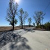Teren extravilan de vânzare – Căteasca, Argeș | 27.201 mp | Deschidere 58,55 m imaginea mica 7 Teren extravilan de vânzare – Căteasca, Argeș | 27.201 mp | Deschidere 58,55 m thumb 7