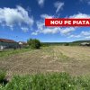 Teren intravilan 7.295 mp – Argeselu, Maracineni, AG thumb 1