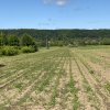 Teren intravilan 7.295 mp – Argeselu, Maracineni, AG thumb 7