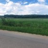 Teren Cerbu - Albota - cu PROIECT CASA si AVIZE  thumb 1