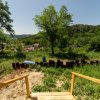 CASA EFICIENTA ENERGETIC - NZEB  in mijlocul naturii -Valea Urusului  thumb 9