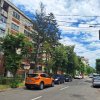 Apartament 3 camere Popa Sapca renovat total, centrala proprie thumb 12