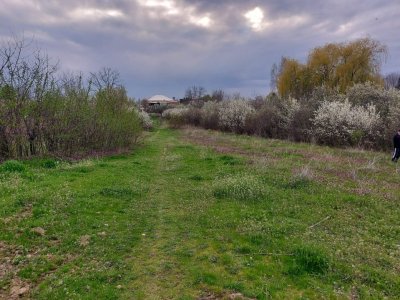 Teren Topoloveni - 3670 mp - langa padure, aproape de Centrul orasului 