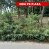Teren 912 mp Hintesti panorama superba la padure thumb 1