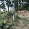 Teren 912 mp Hintesti panorama superba la padure thumb 5