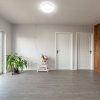 Casa cu teren generos si gradina spectaculoasa – Comuna Cuca, Argeș! thumb 9