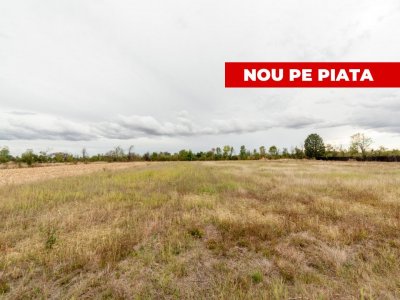 Teren intravilan 3000 mp, Oarja, Arges – amplasament excelent