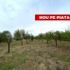 Teren intravilan 1.765 mp in Poiana Lacului, AG thumb 3