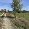 Teren intravilan 3700 mp  - zona linistita thumb 4