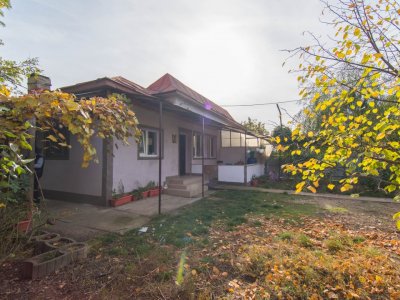 Casa - Golesti - Stefanesti - 3000 Mp Teren 
