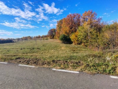 Teren jud Arges - Mosoaia